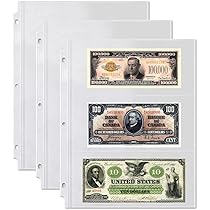 Amazon.com : Dunwell Binder Currency Sleeves for Collectors